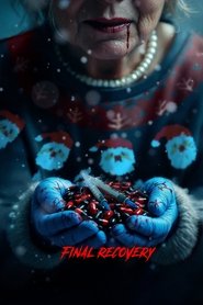 Final Recovery (2024)